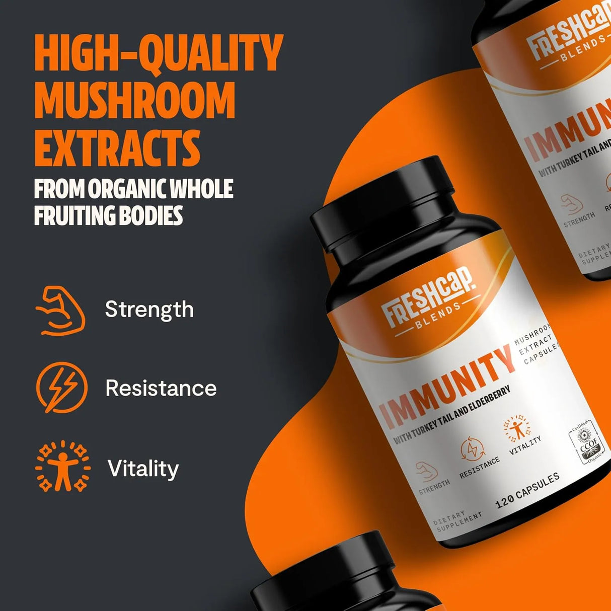 FRESHCAP - FreshCap 7-in-1 Immune Support Turkey Tail Mushroom and Elderberry 120 Capsulas - The Red Vitamin MX - Suplementos Alimenticios - {{ shop.shopifyCountryName }}