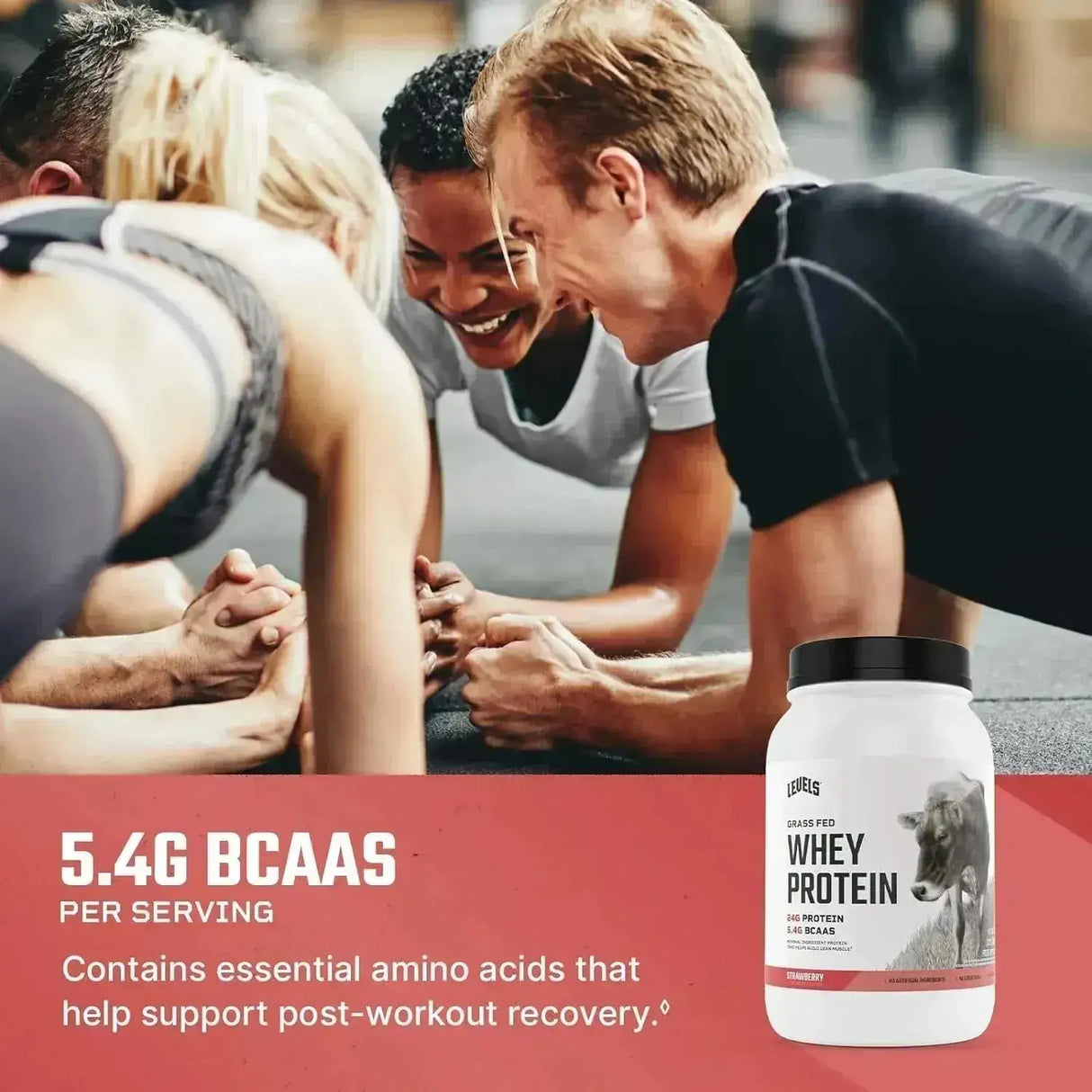 LEVELS - Levels Grass Fed Whey Protein Powder Strawberry 2Lb. - The Red Vitamin MX - Suplementos Alimenticios - {{ shop.shopifyCountryName }}