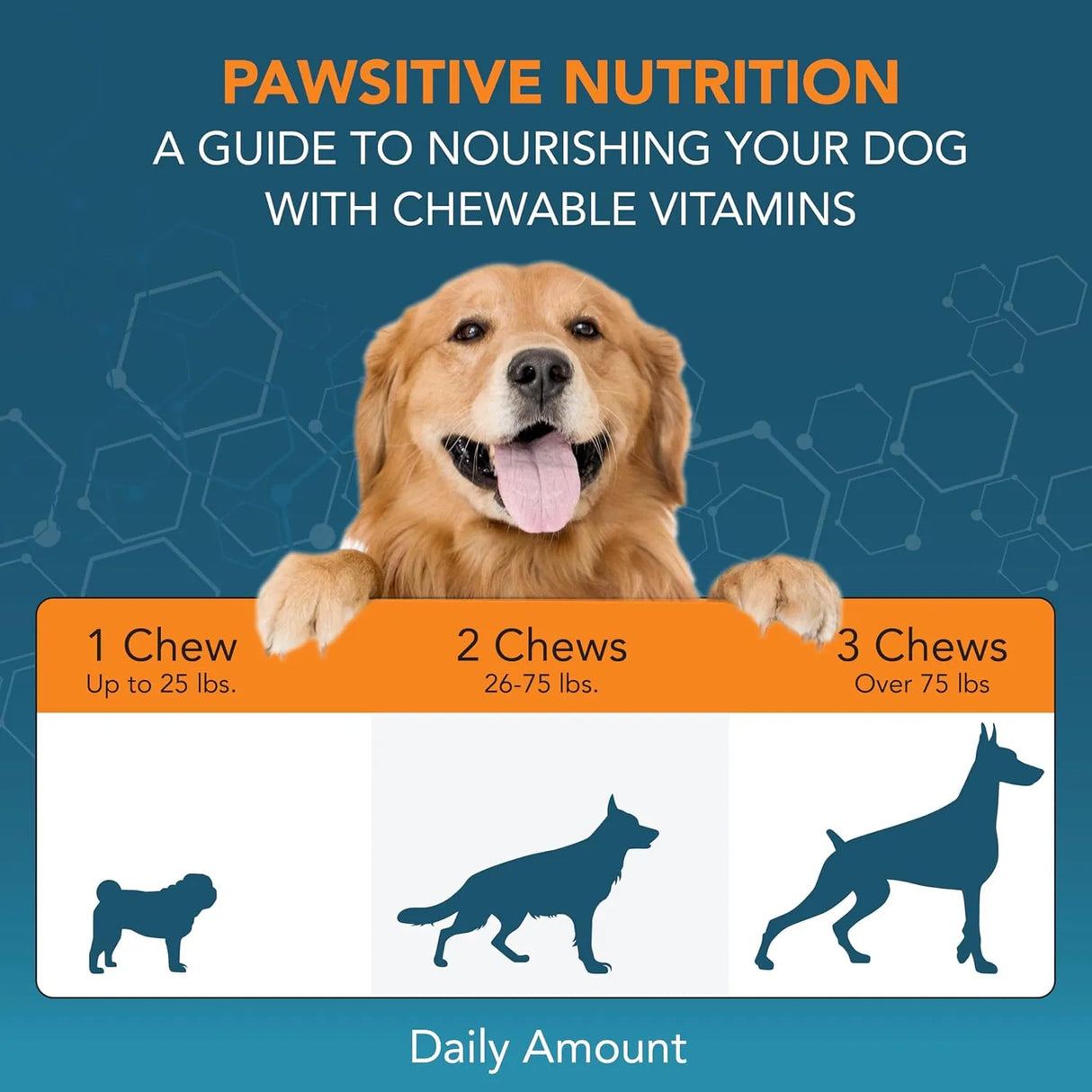 NOVEHA - NOVEHA Eye Supplement for Dogs 90 Masticables - The Red Vitamin MX - Cuidado De Los Ojos De Los Perros - {{ shop.shopifyCountryName }}