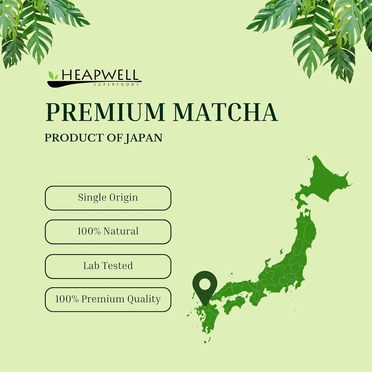 HEAPWELL - Heapwell Authentic Premium Grade Matcha Green Tea Powder 113Gr. - The Red Vitamin MX - Suplementos Alimenticios - {{ shop.shopifyCountryName }}