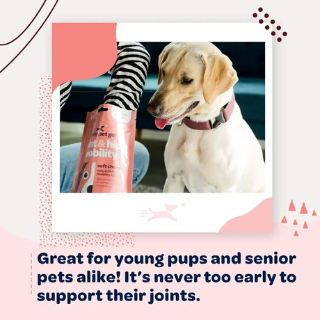 READY PET GO - Ready Pet Go! Hip and Joint Chews for Dogs 90 Masticables - The Red Vitamin MX - Cuidado De Cadera Y Articulaciones Para Perros - {{ shop.shopifyCountryName }}