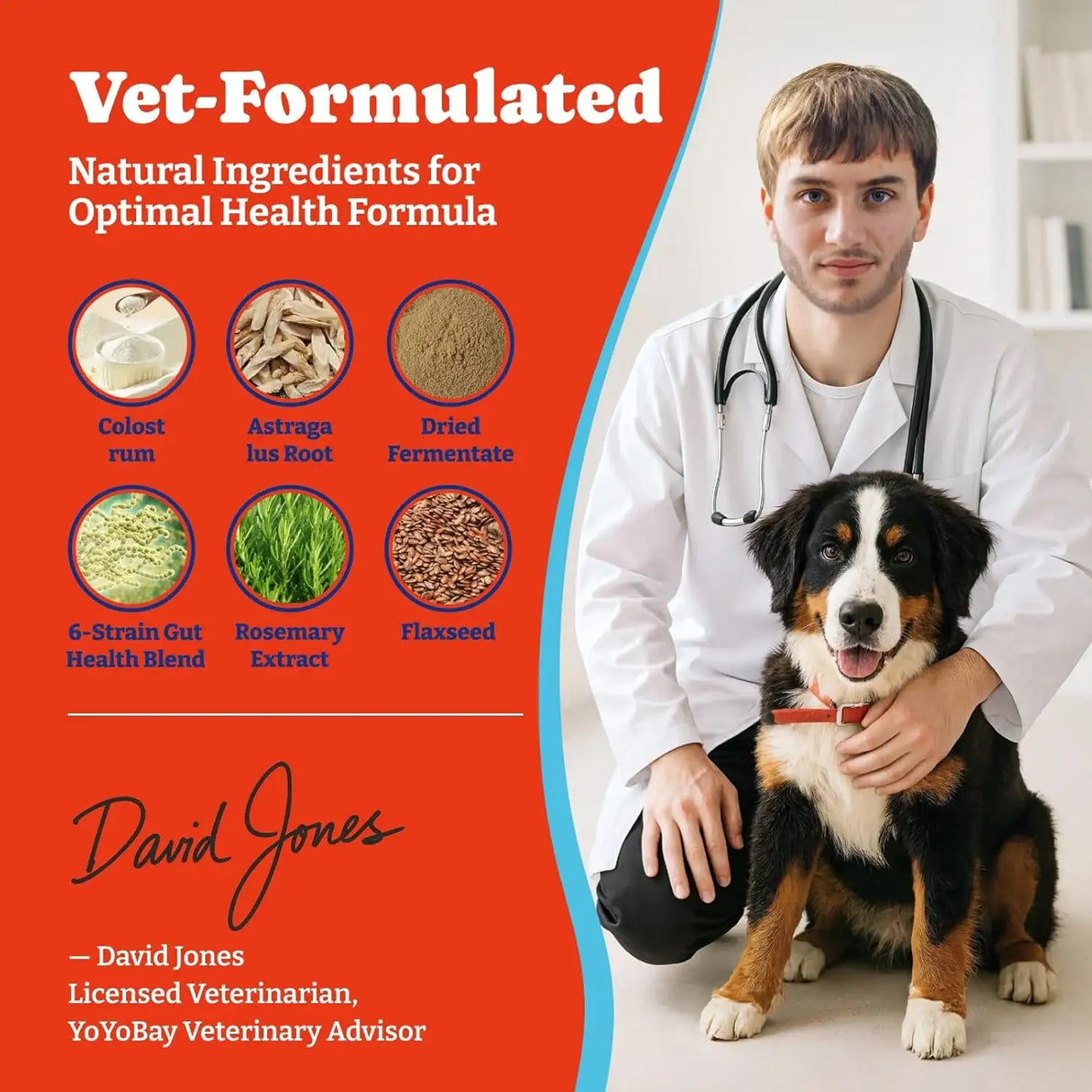 YOYOBAY - YoYoBay Dog Allergy Relief Chews Salmon & Blueberry 180 Masticables - The Red Vitamin MX - Remedios Para La Picazón De Perros - {{ shop.shopifyCountryName }}