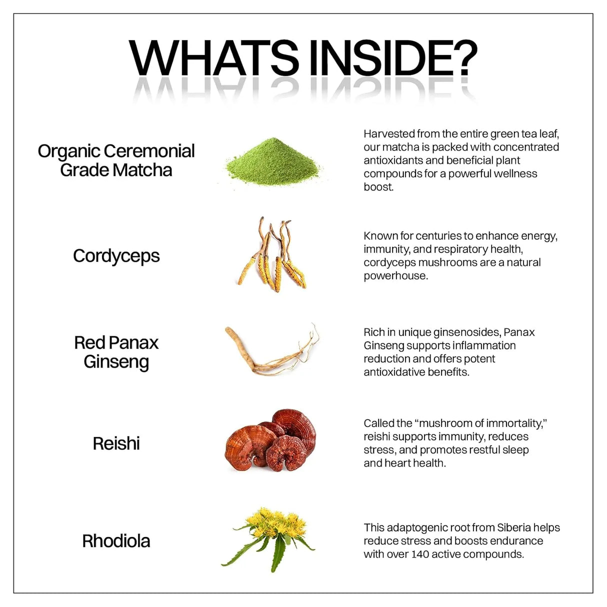 MOTIV MATCHA - Motiv Matcha Gummies 30 Gomitas - The Red Vitamin MX - Suplementos Alimenticios - {{ shop.shopifyCountryName }}