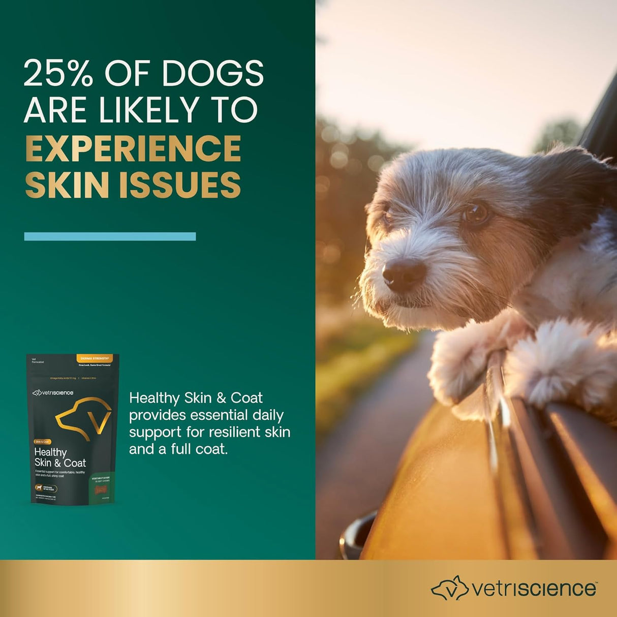 VetriScience Healthy Skin & Coat Chews 70 Masticables