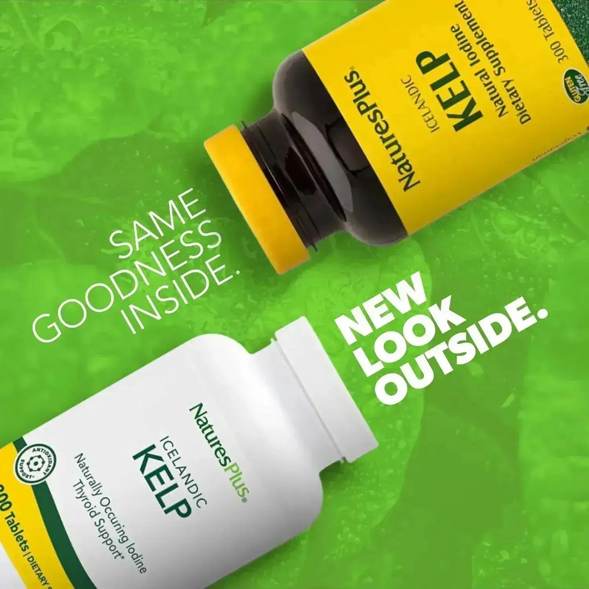 NATURES PLUS - NaturesPlus Icelandic Kelp 300 Tabletas - The Red Vitamin MX - Suplementos Alimenticios - {{ shop.shopifyCountryName }}