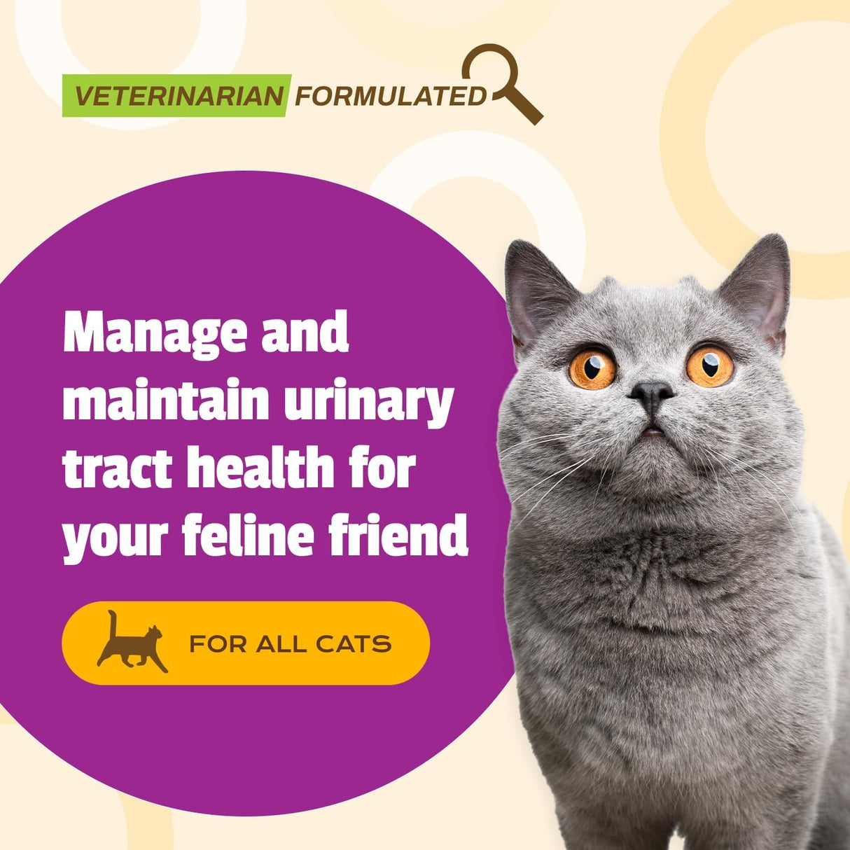 Pet Naturals UT Support Urinary Tract Supplement for Cats 60 Masticables