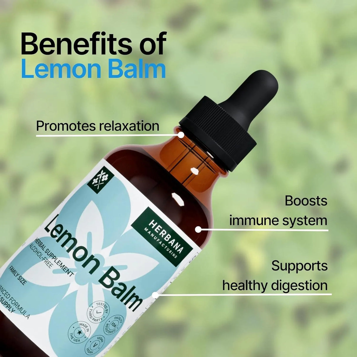 HERBANA - Herbana Lemon Balm Liquid Extract 4 Fl.Oz. - The Red Vitamin MX - Suplementos Alimenticios - {{ shop.shopifyCountryName }}