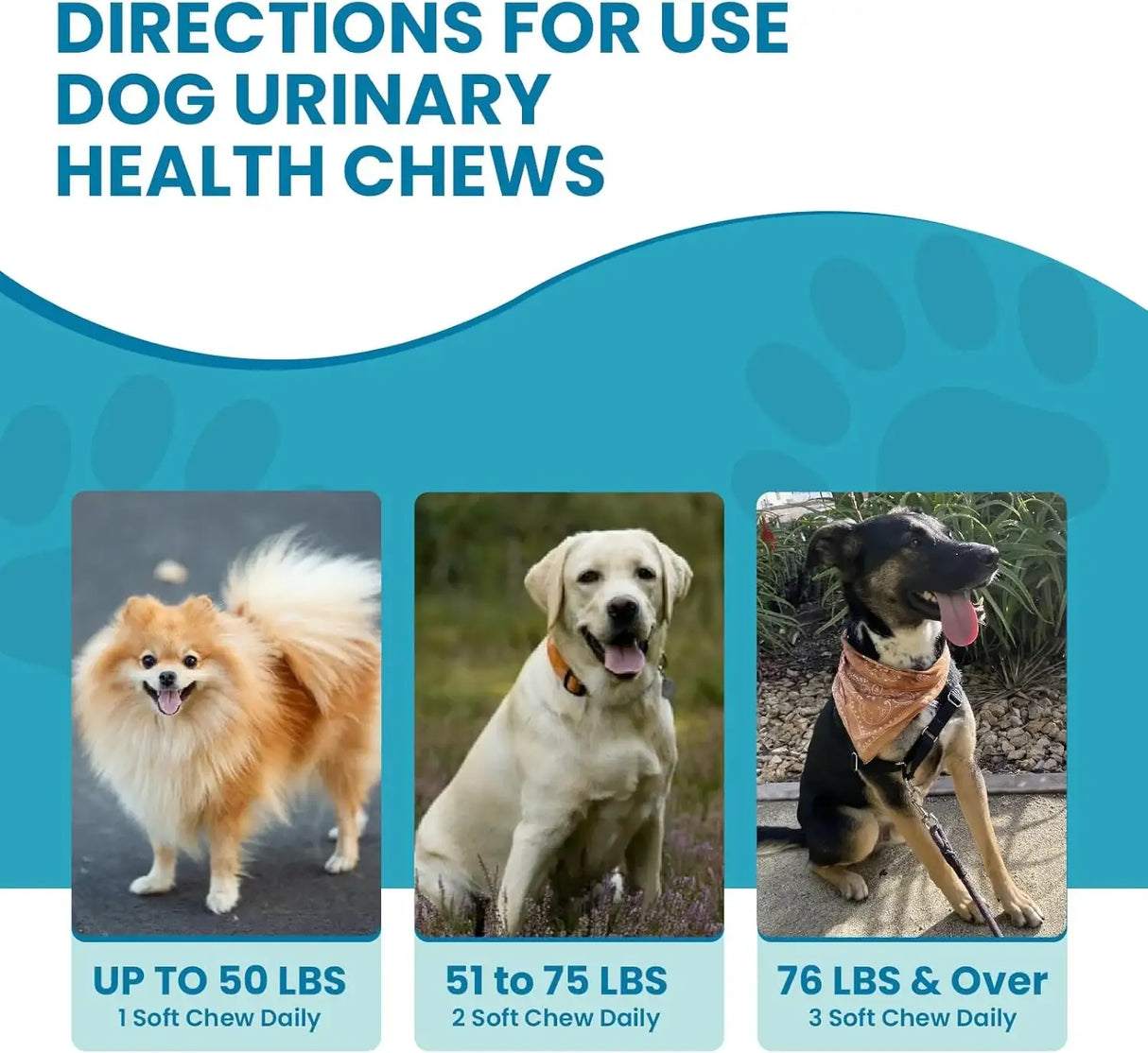 REPLENISH - Replenish Urinary Tract Chews for Dogs 60 Masticables - The Red Vitamin MX - Salud De Tracto Urinario Para Perros - {{ shop.shopifyCountryName }}