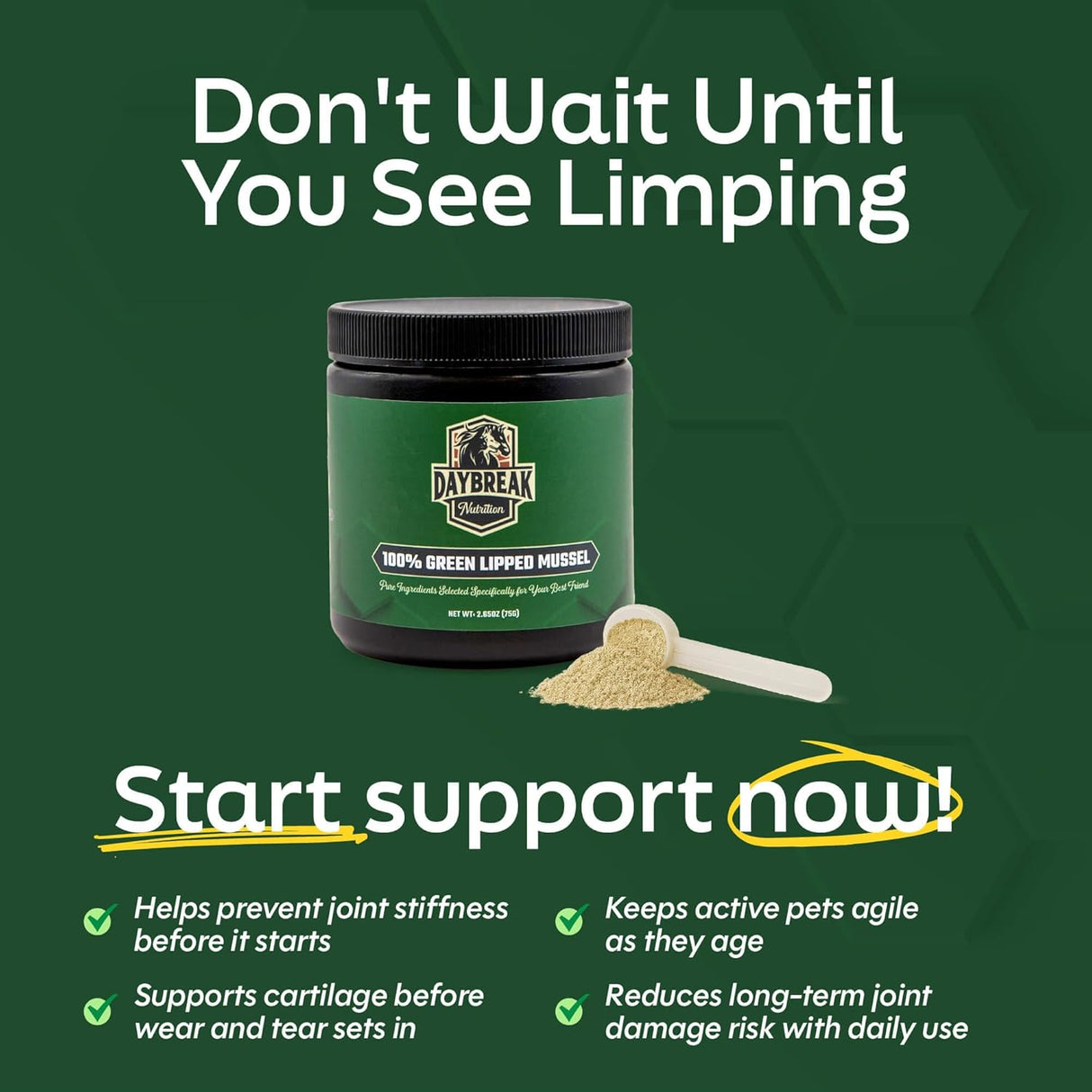 DAYBREAK NUTRITION - Daybreak Nutrition Pure Green Lipped Mussel Powder for Dogs and Cats 75Gr. - The Red Vitamin MX - Cuidado De Cadera Y Articulaciones Para Perros - {{ shop.shopifyCountryName }}