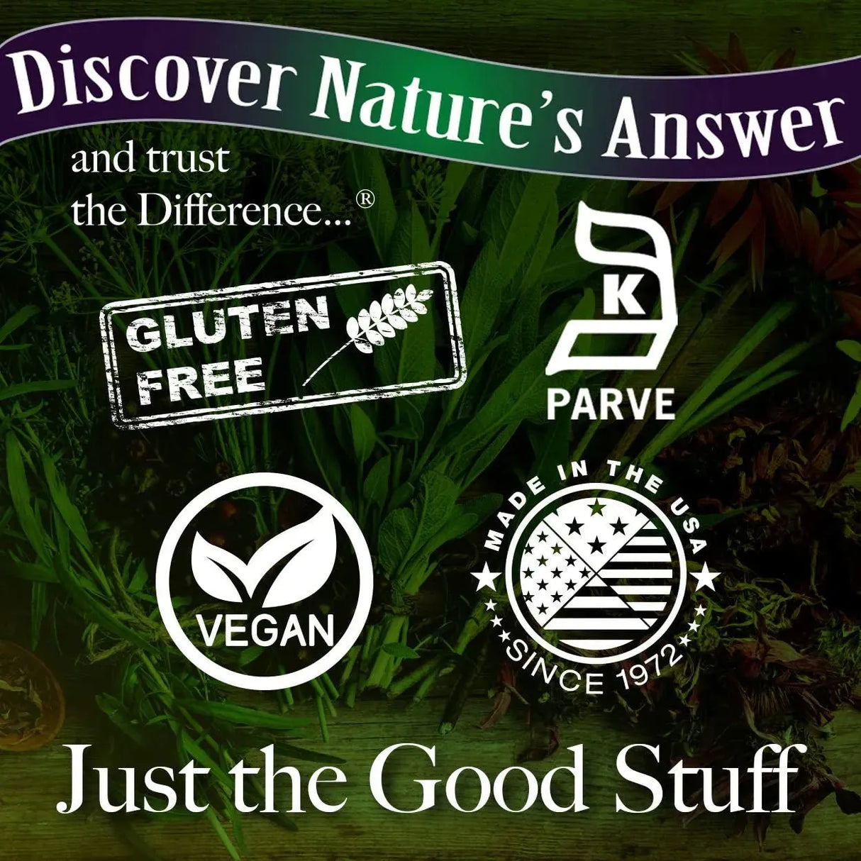 NATURE´S ANSWER - Nature's Answer Echinacea & Goldenseal 90 Capsulas - The Red Vitamin MX - Suplementos Alimenticios - {{ shop.shopifyCountryName }}