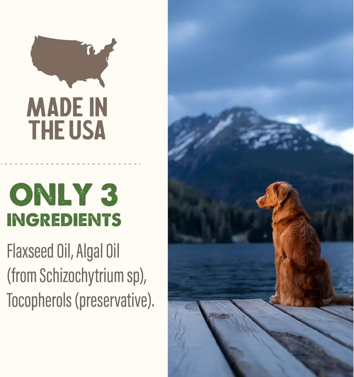 GRIZZLY PET - Grizzly Pet Products Algal Plus Omega 3-6-9 for Dogs and Cats 8 Fl.Oz. - The Red Vitamin MX - Aceite De Pescado Para Perros - {{ shop.shopifyCountryName }}