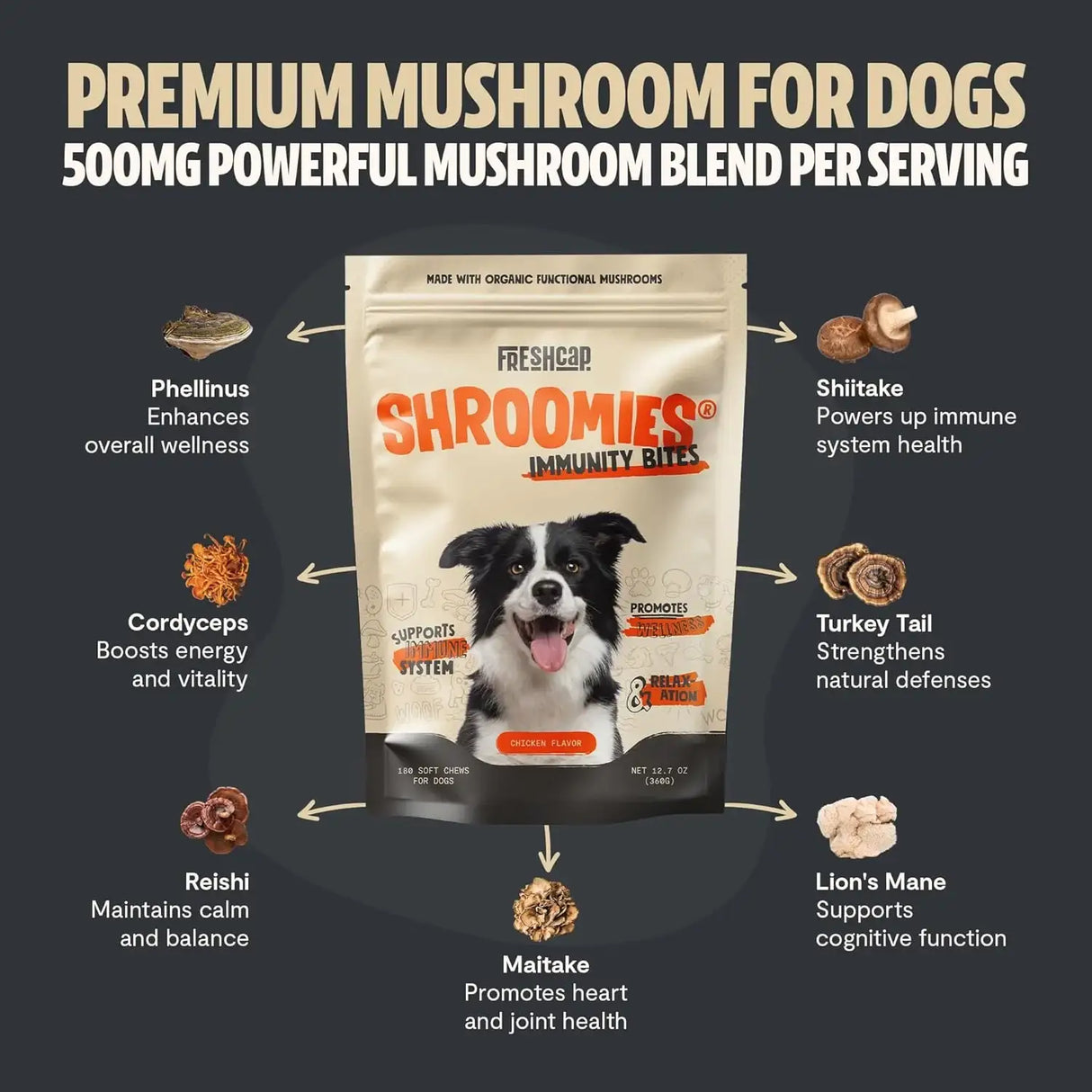 FRESHCAP - FreshCap Mushrooms Shroomies 13 in 1 Turkey Tail Mushroom for Dogs 180 Masticables - The Red Vitamin MX - Suplementos Herbales Para Perros - {{ shop.shopifyCountryName }}