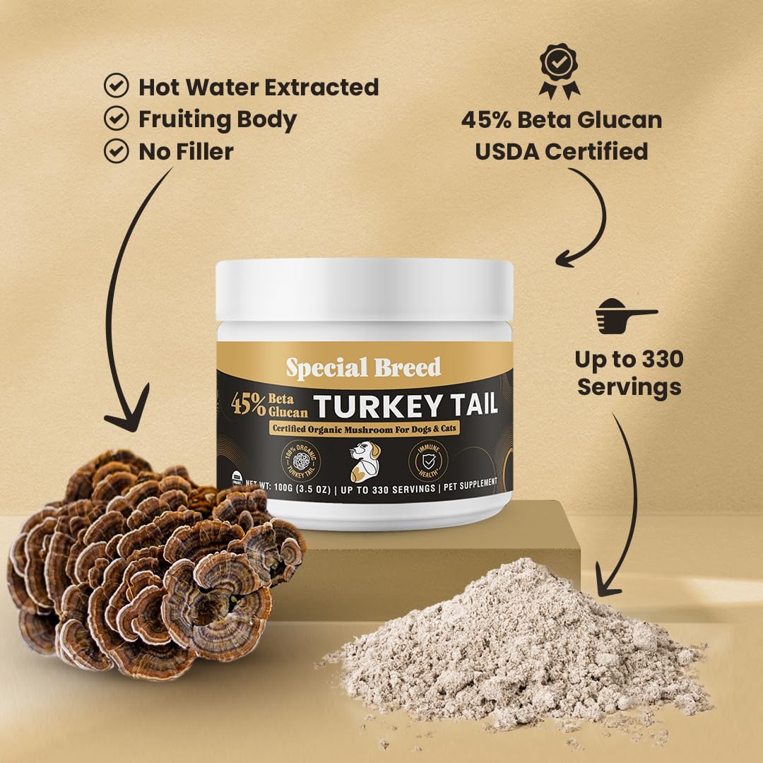 SPECIAL BREED - Special Breed Organic Turkey Tail Mushroom for Dogs 100Gr. - The Red Vitamin MX - Suplementos Herbales Para Perros - {{ shop.shopifyCountryName }}