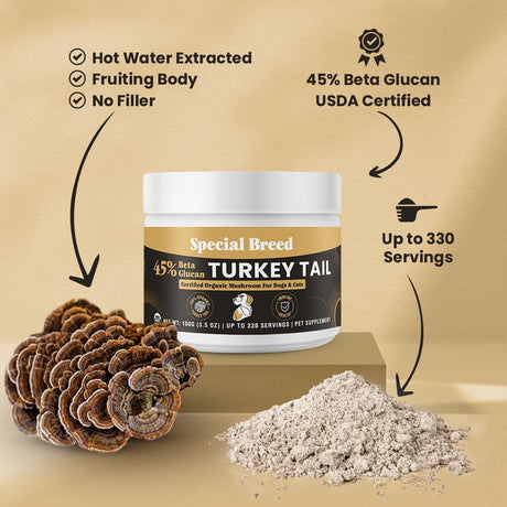 SPECIAL BREED - Special Breed Organic Turkey Tail Mushroom for Dogs 100Gr. - The Red Vitamin MX - Suplementos Herbales Para Perros - {{ shop.shopifyCountryName }}