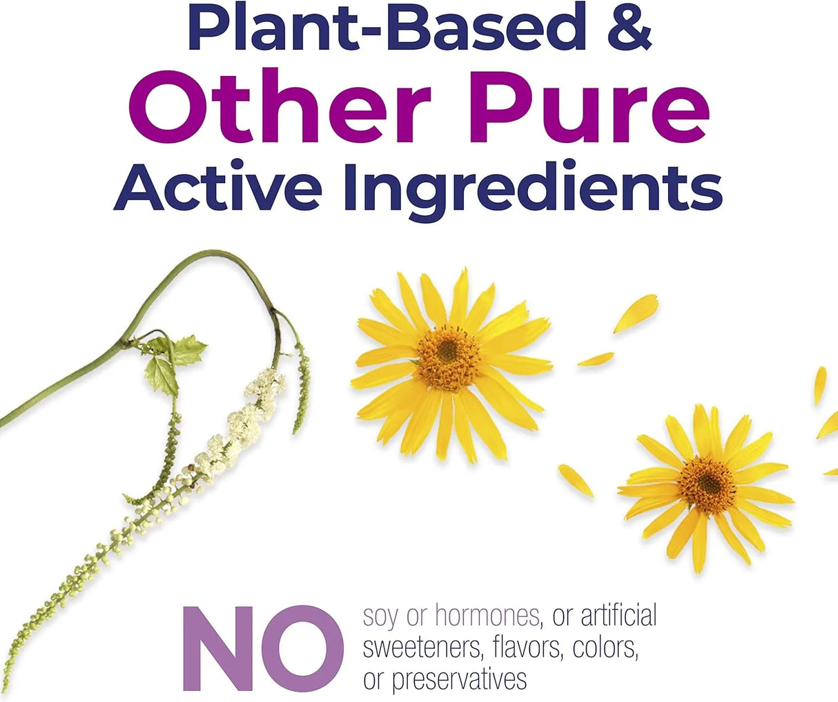 BOIRON - Boiron Cyclease Menopause 120 Tabletas - The Red Vitamin MX - Suplementos Alimenticios - {{ shop.shopifyCountryName }}