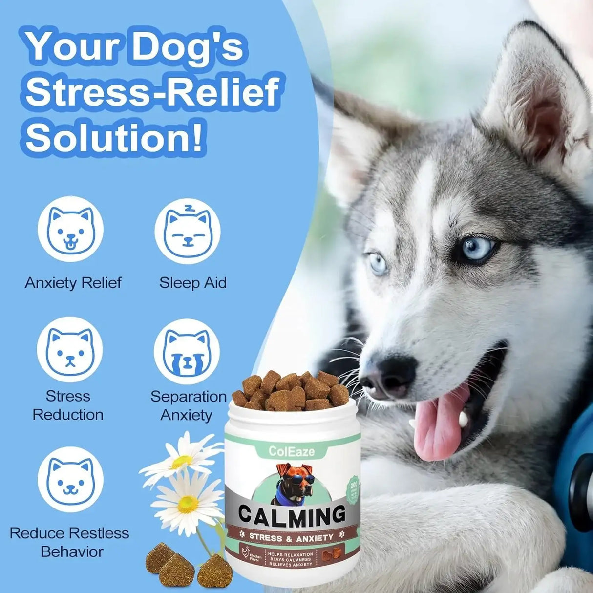 COLEAZE - ColEaze Dog Calming Chews Chicken 200 Masticables - The Red Vitamin MX - Relajantes Para Perros - {{ shop.shopifyCountryName }}