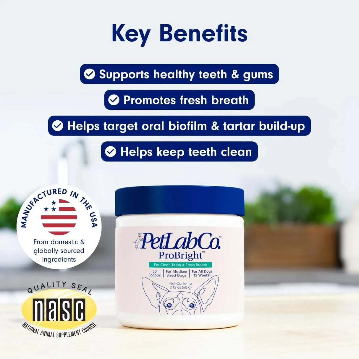 PROLAB - PetLab Co. ProBright Dental Powder Large Dogs 90Gr. - The Red Vitamin MX - Cuidado Dental Para Perros - {{ shop.shopifyCountryName }}