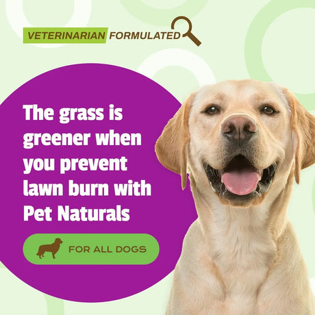 PET NATURALS - Pet Naturals Lawn Aid Dog Urine Neutralizer for Lawn 60 Masticables - The Red Vitamin MX - Salud De Tracto Urinario Para Perros - {{ shop.shopifyCountryName }}