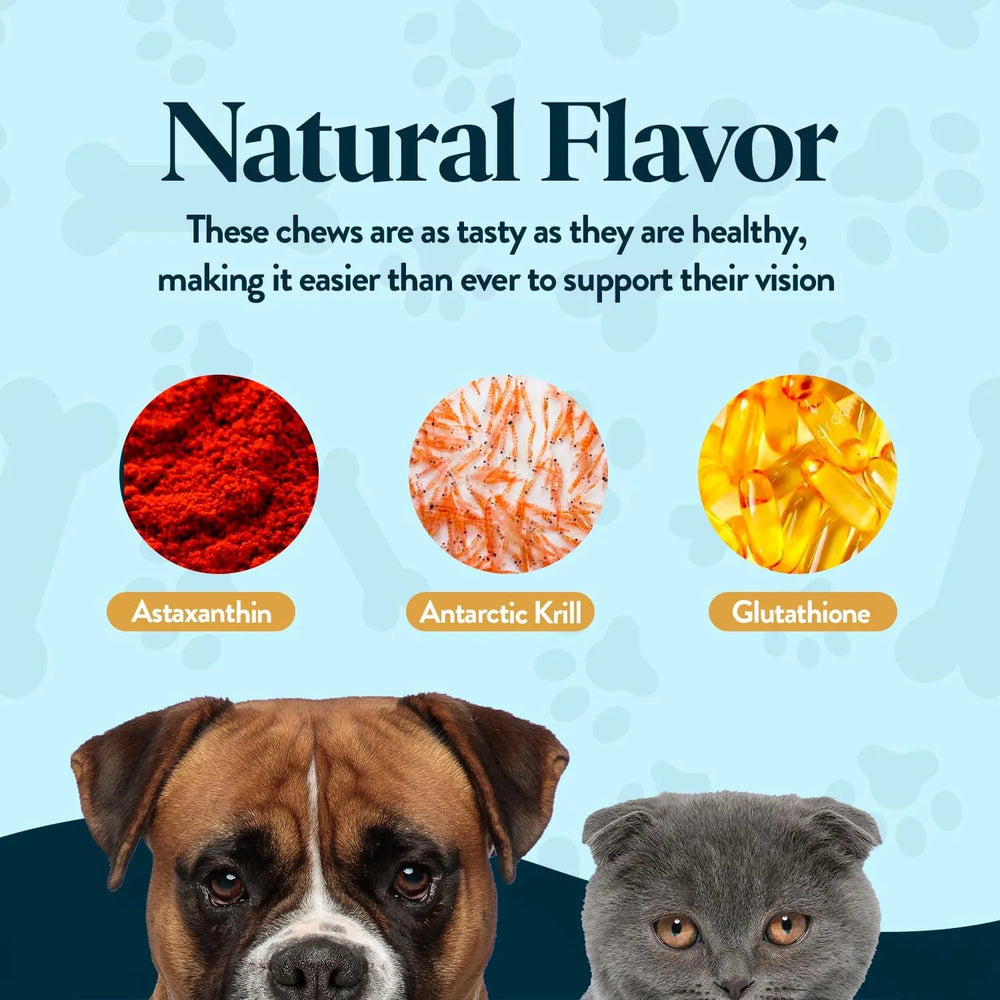 OCLUVET - OcluVet Bundle Eye Supplements for Dogs & Cats - The Red Vitamin MX - Cuidado De Los Ojos De Los Perros - {{ shop.shopifyCountryName }}