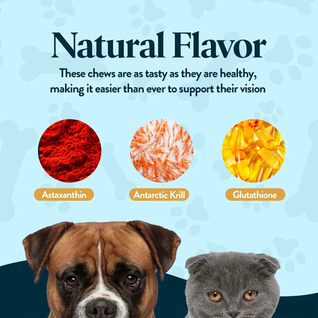 OCLUVET - OcluVet Bundle Eye Supplements for Dogs & Cats - The Red Vitamin MX - Cuidado De Los Ojos De Los Perros - {{ shop.shopifyCountryName }}