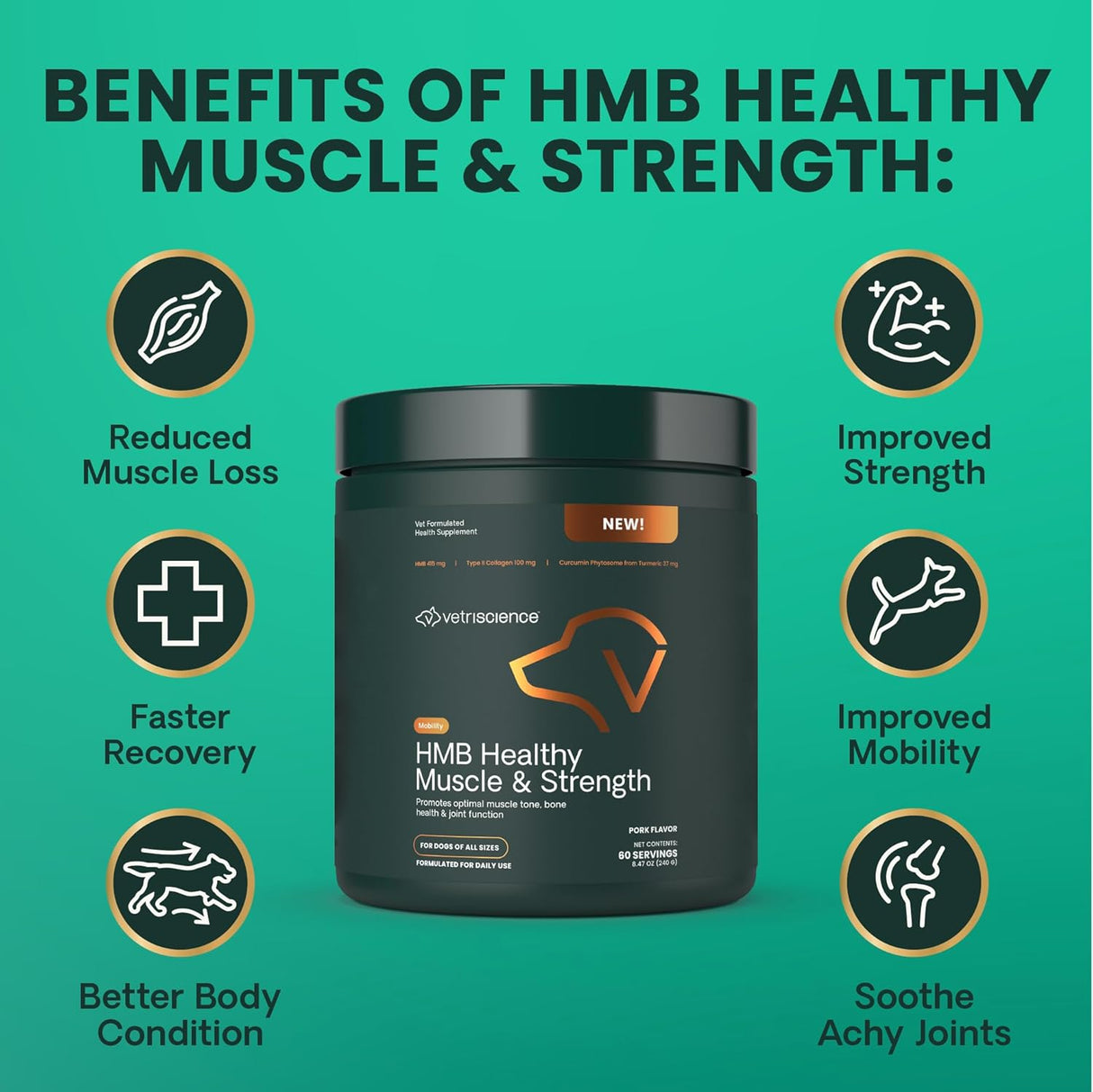 VetriScience HMB Healthy Muscle & Strength Supplement for Dogs Powder 60 Servicios