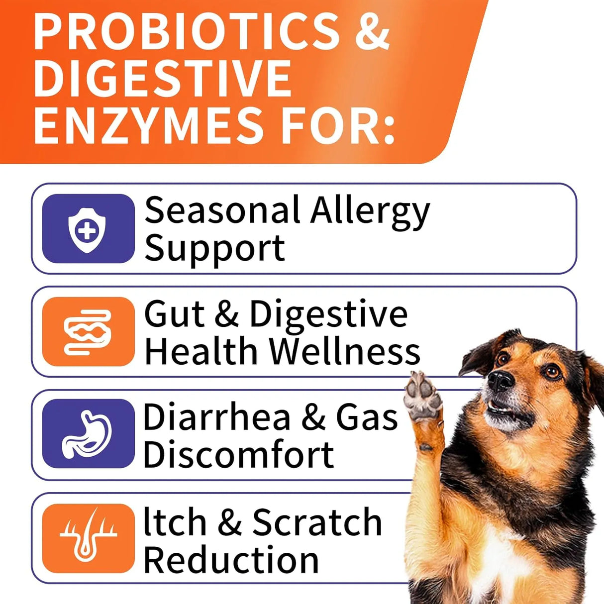 HEYISME - HEYISME Probiotics for Dogs Chicken 120 Masticables - The Red Vitamin MX - Probióticos Para Perros - {{ shop.shopifyCountryName }}