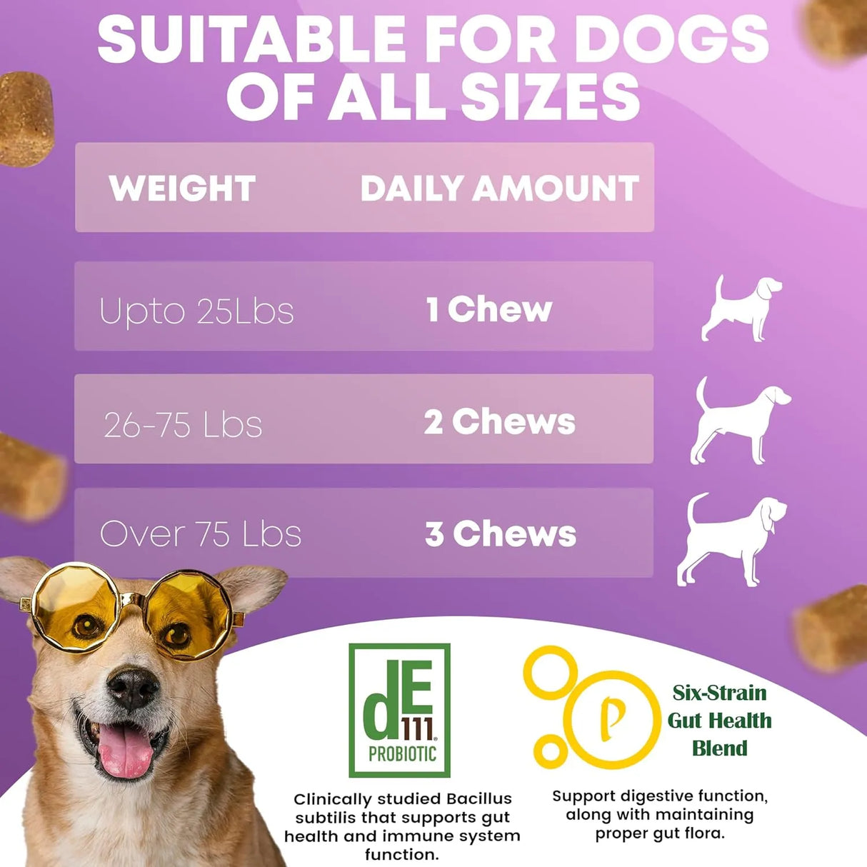 FURRY FUELS - FURRY FUELS Dog Probiotics for Digestive Health 120 Masticables - The Red Vitamin MX - Probióticos Para Perros - {{ shop.shopifyCountryName }}