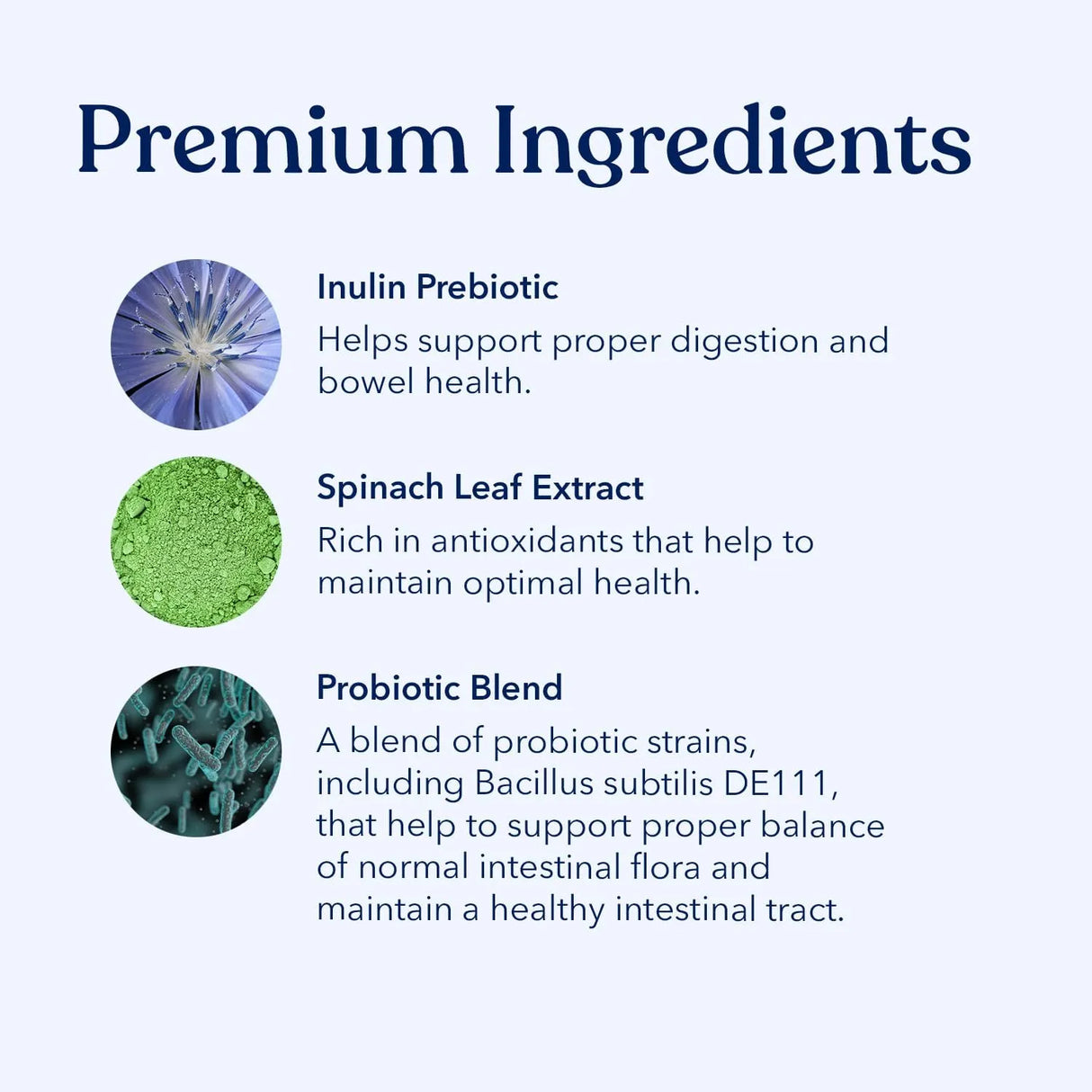 HONEST PAWS - Honest Paws Premium Probiotic Powder Chicken 30 Paquetes - The Red Vitamin MX - Probióticos Para Perros - {{ shop.shopifyCountryName }}