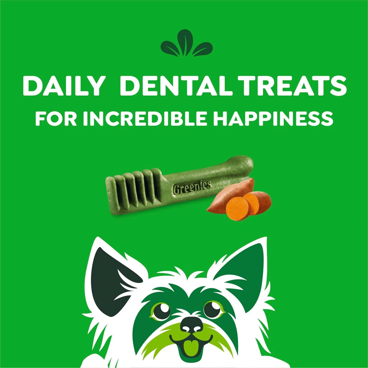 GREENIES - Greenies Teenie Natural Dog Dental Treats Sweet Potato Flavor 130 Piezas - The Red Vitamin MX - Cuidado Dental Para Perros - {{ shop.shopifyCountryName }}