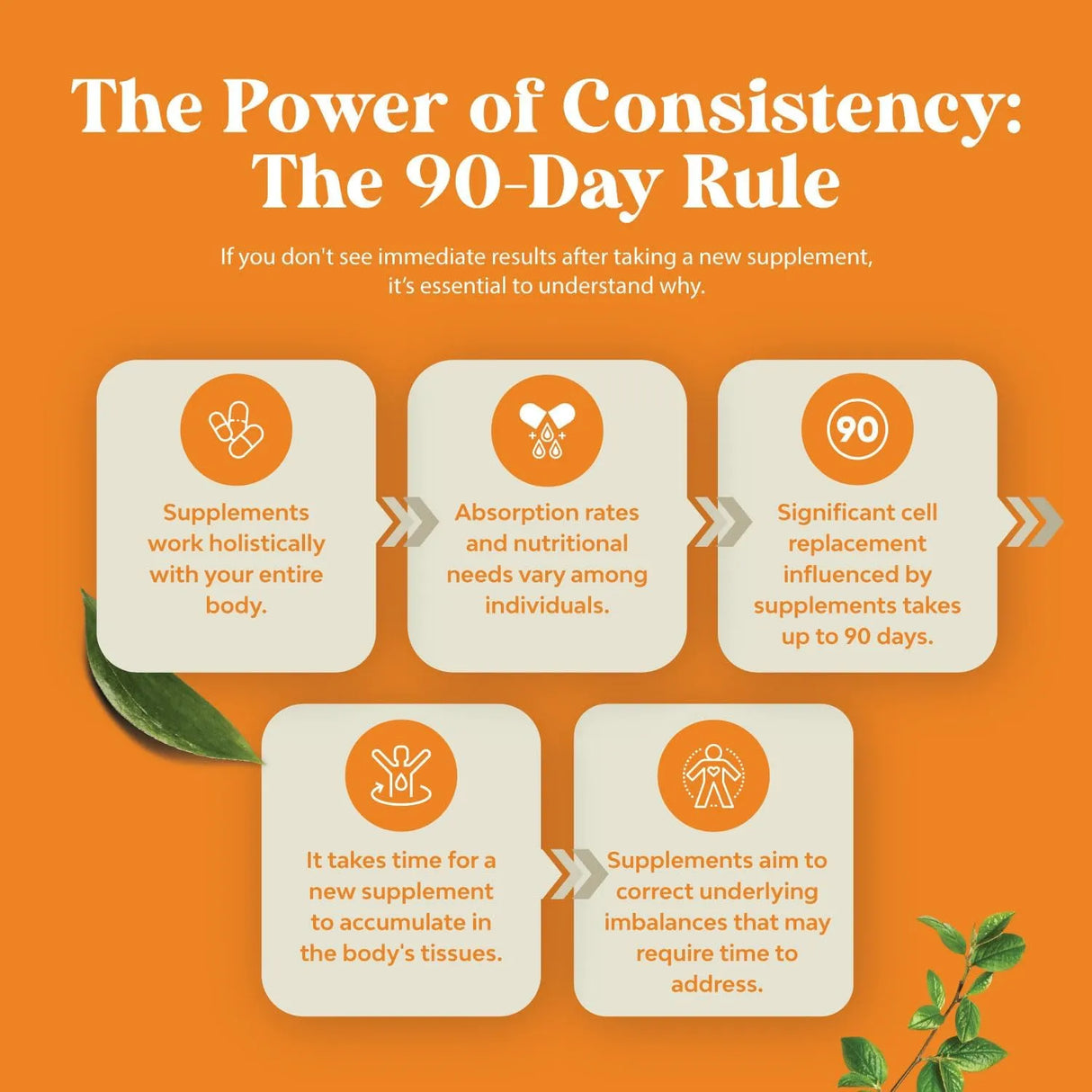 NATURES CRAFT - Natures Craft Vegan Vitamin B Complex Liquid 120Ml. - The Red Vitamin MX - Suplementos Alimenticios - {{ shop.shopifyCountryName }}