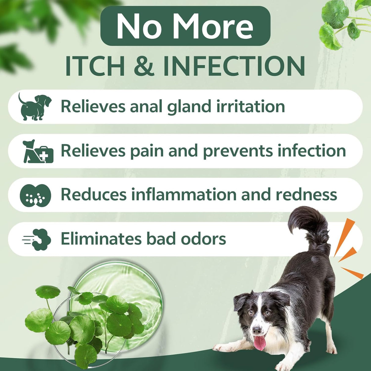 Puyrzoe Dog Anal Gland Spray for All Pets 4.06 Fl.Oz.