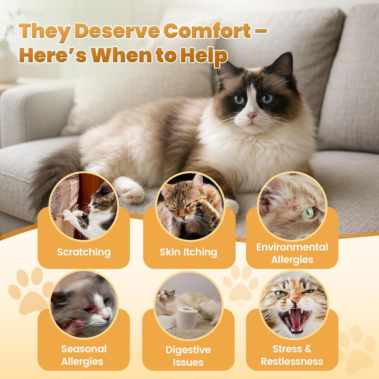 Cudory Cat Allergy Relief for Cats 500 Masticables