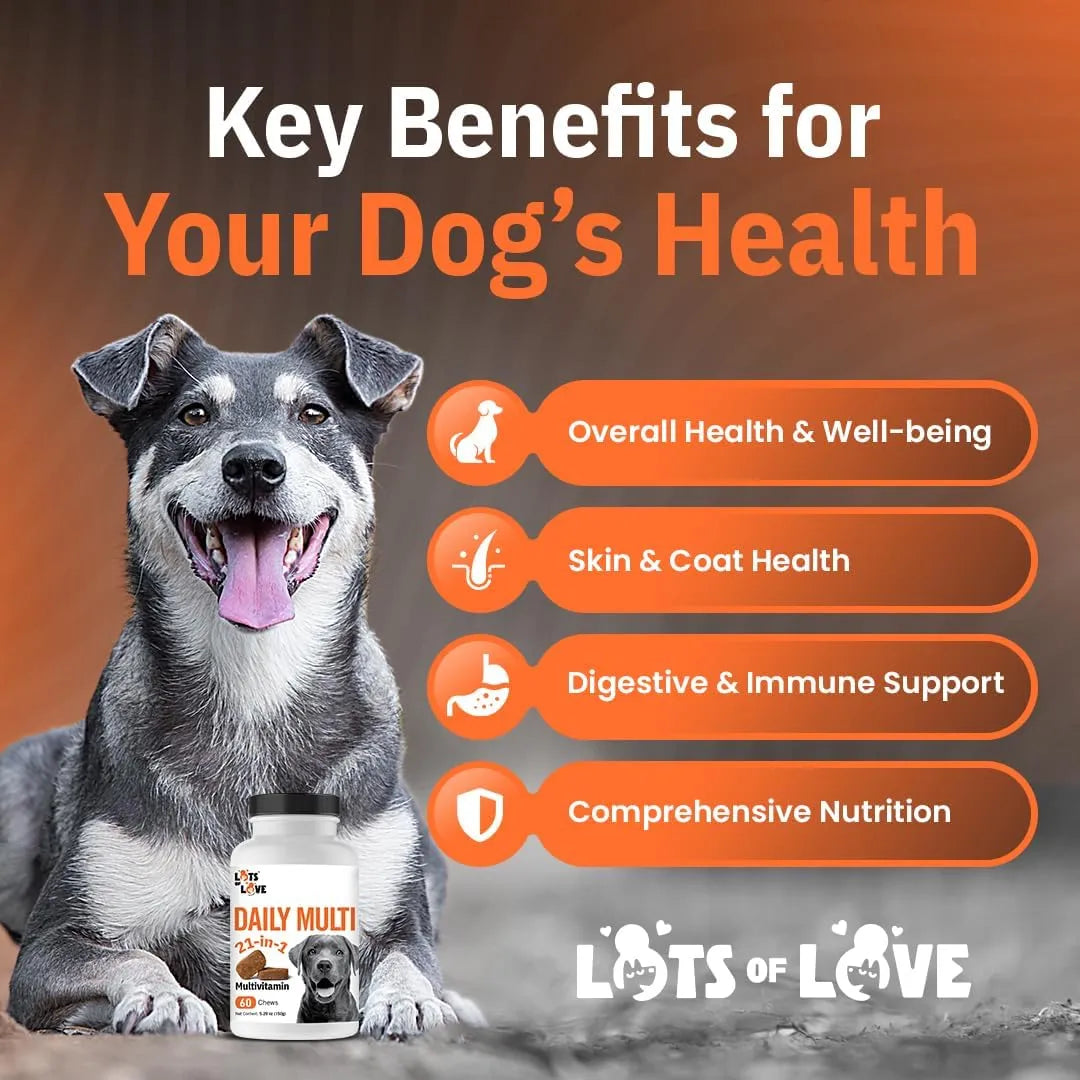 LOTS OF LOVE - LOTS OF LOVE Dog Multivitamin Chewable 60 Masticables - The Red Vitamin MX - Multivitamínicos Para Perros - {{ shop.shopifyCountryName }}