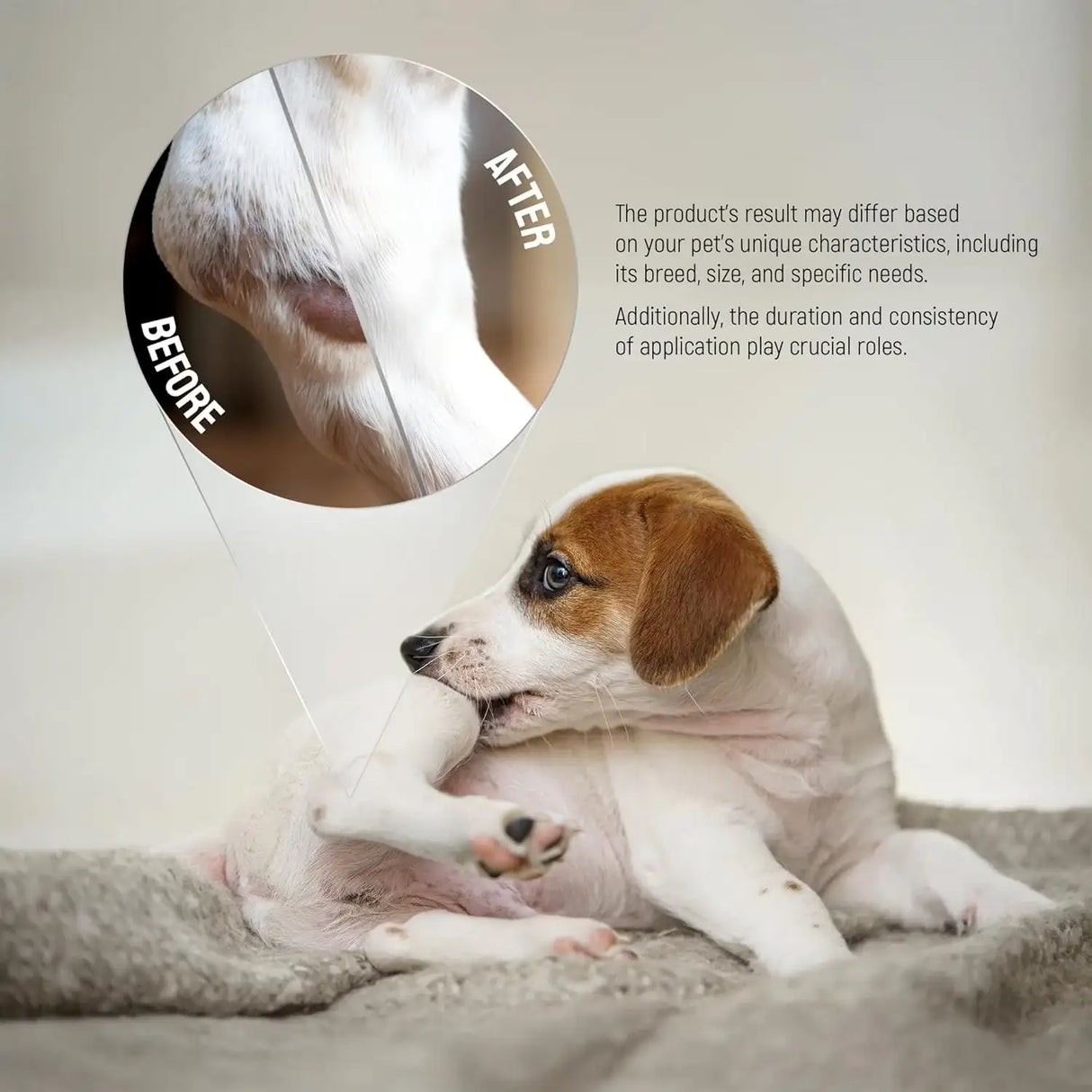 SILVER GRADE - SILVER GRADE Hot Spot Treatment for Dogs 2 Oz. - The Red Vitamin MX - Remedios Para La Picazón De Perros - {{ shop.shopifyCountryName }}