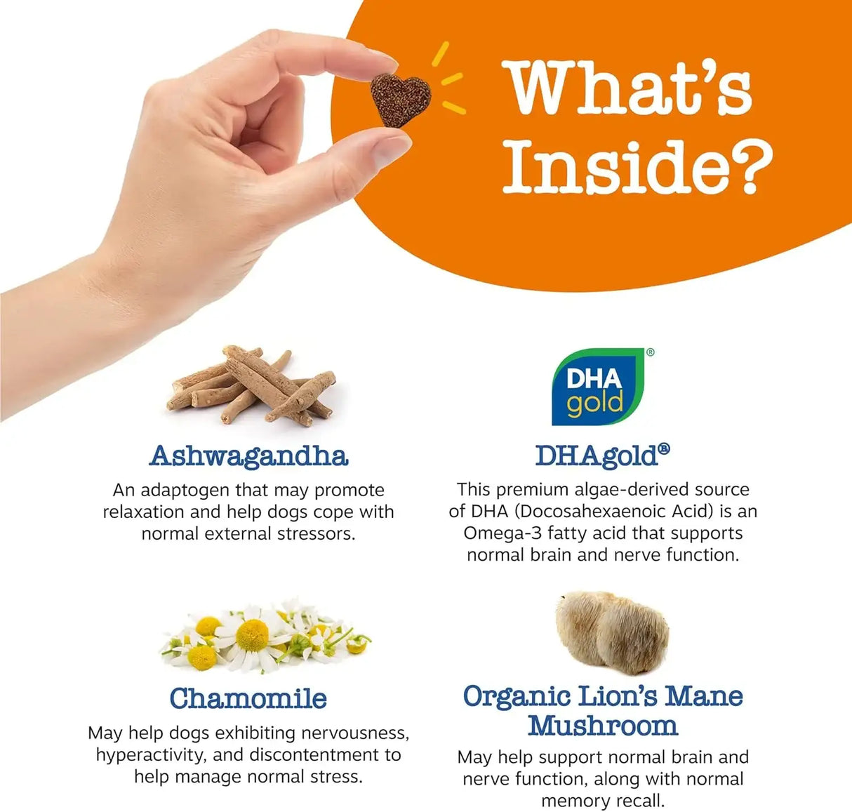 ZESTY PAWS - Zesty Paws Senior Advanced Calming & Cognition Soft Chews for Dogs 90 Masticables - The Red Vitamin MX - Relajantes Para Perros - {{ shop.shopifyCountryName }}