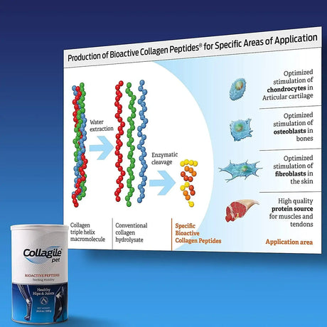 COLLAGILE - COLLAGILE pet Dog Hip & Joint Care Effective Powder 300Gr. - The Red Vitamin MX - Cuidado De Cadera Y Articulaciones Para Perros - {{ shop.shopifyCountryName }}