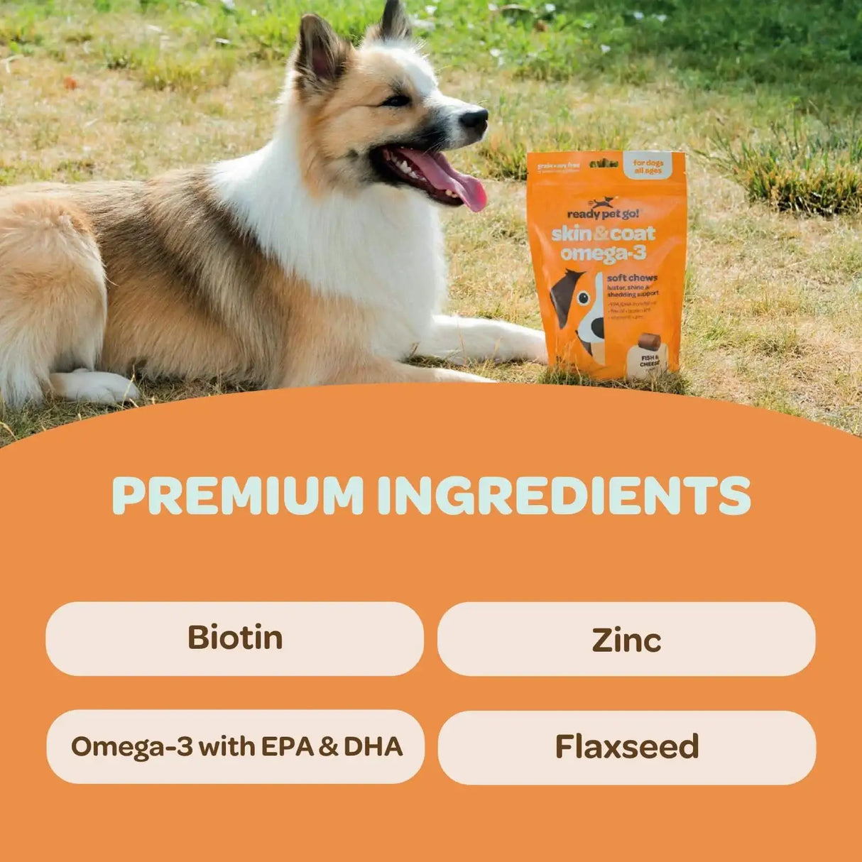 READY PET GO - Ready Pet Go! Skin and Coat Supplement for Dogs 90 Masticables - The Red Vitamin MX - Aceite De Pescado Para Perros - {{ shop.shopifyCountryName }}