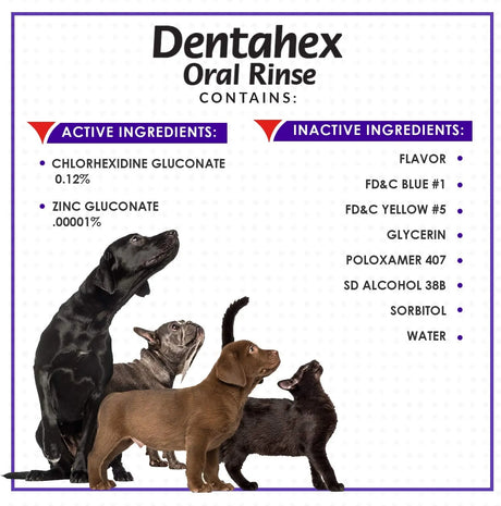 VETOQUINOL - Vetoquinol Dentahex Pet Oral Hygiene Rinse 8 Oz. - The Red Vitamin MX - Cuidado Dental Para Perros - {{ shop.shopifyCountryName }}