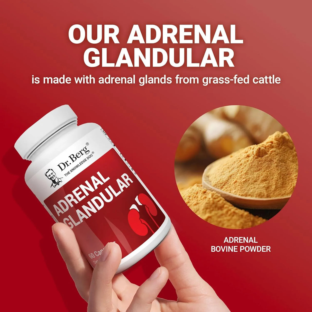 DR. BERG - Dr. Berg Adrenal Glandular 60 Capsulas - The Red Vitamin MX - Suplementos Alimenticios - {{ shop.shopifyCountryName }}
