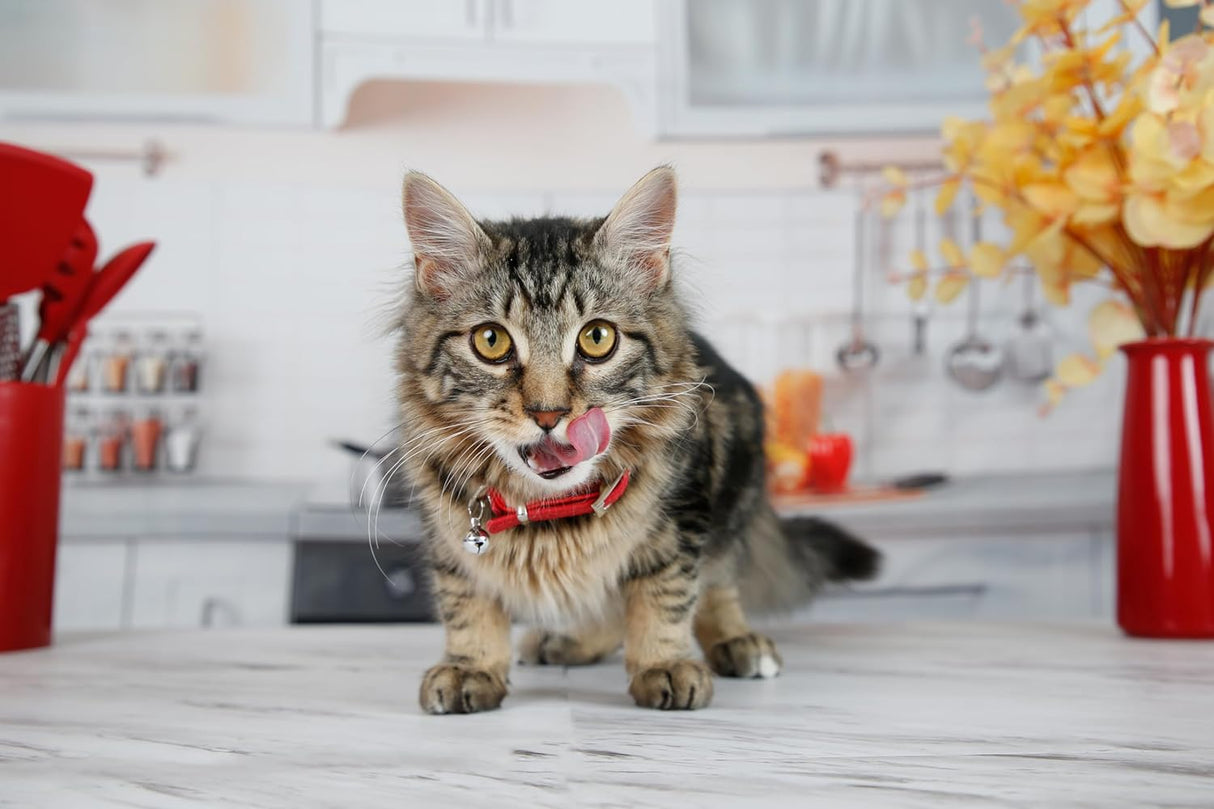 Hartz Hairball Remedy Plus Salmon Flavored Paste for Cats and Kittens 70Gr.