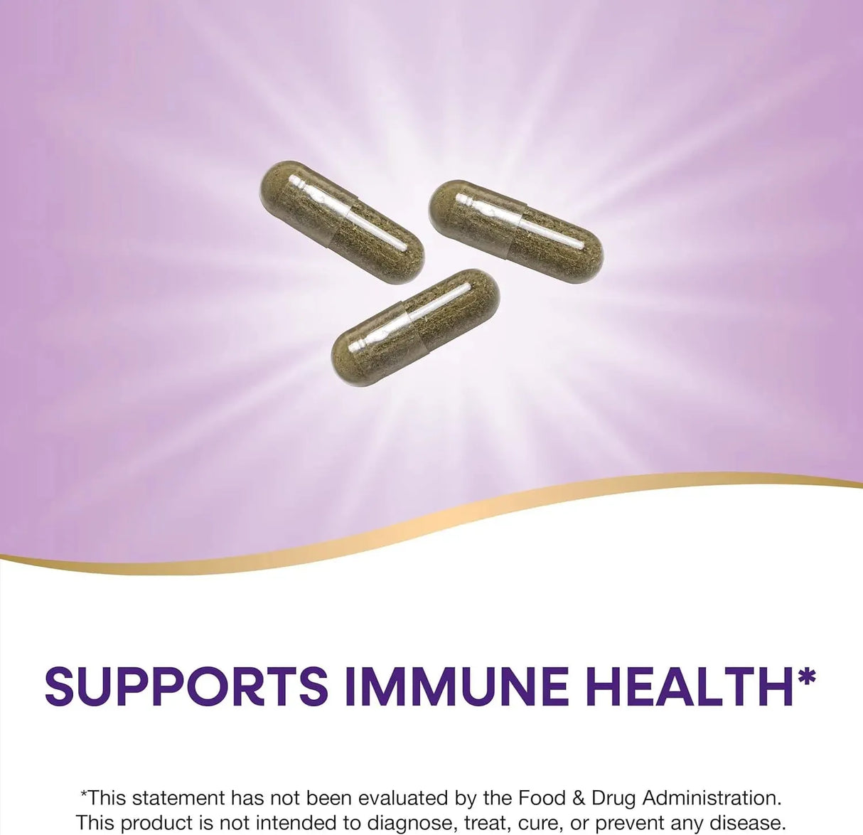 NATURE'S WAY - Nature's Way Echinacea Purpurea Herb 1200Mg. 100 Capsulas - The Red Vitamin MX - Suplementos Alimenticios - {{ shop.shopifyCountryName }}