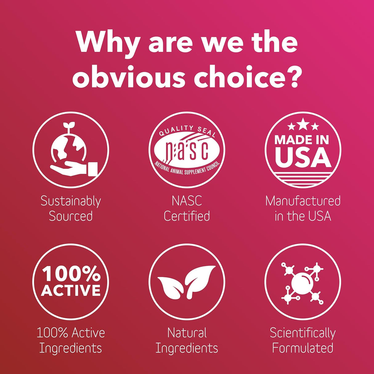 InClover Heart+ Dog and Cat Cardiac Health Supplement 100Gr.