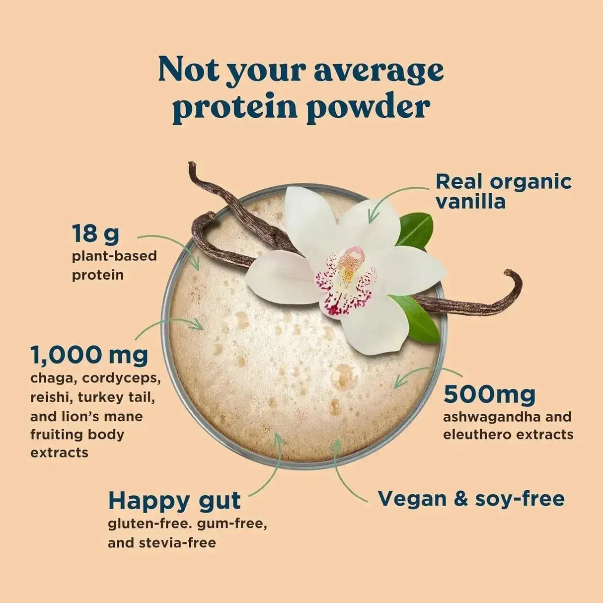 FOUR SIGMATIC - Four Sigmatic Organic Vegan Protein Powder Sweet Vanilla 600Gr. - The Red Vitamin MX - Suplementos Alimenticios - {{ shop.shopifyCountryName }}