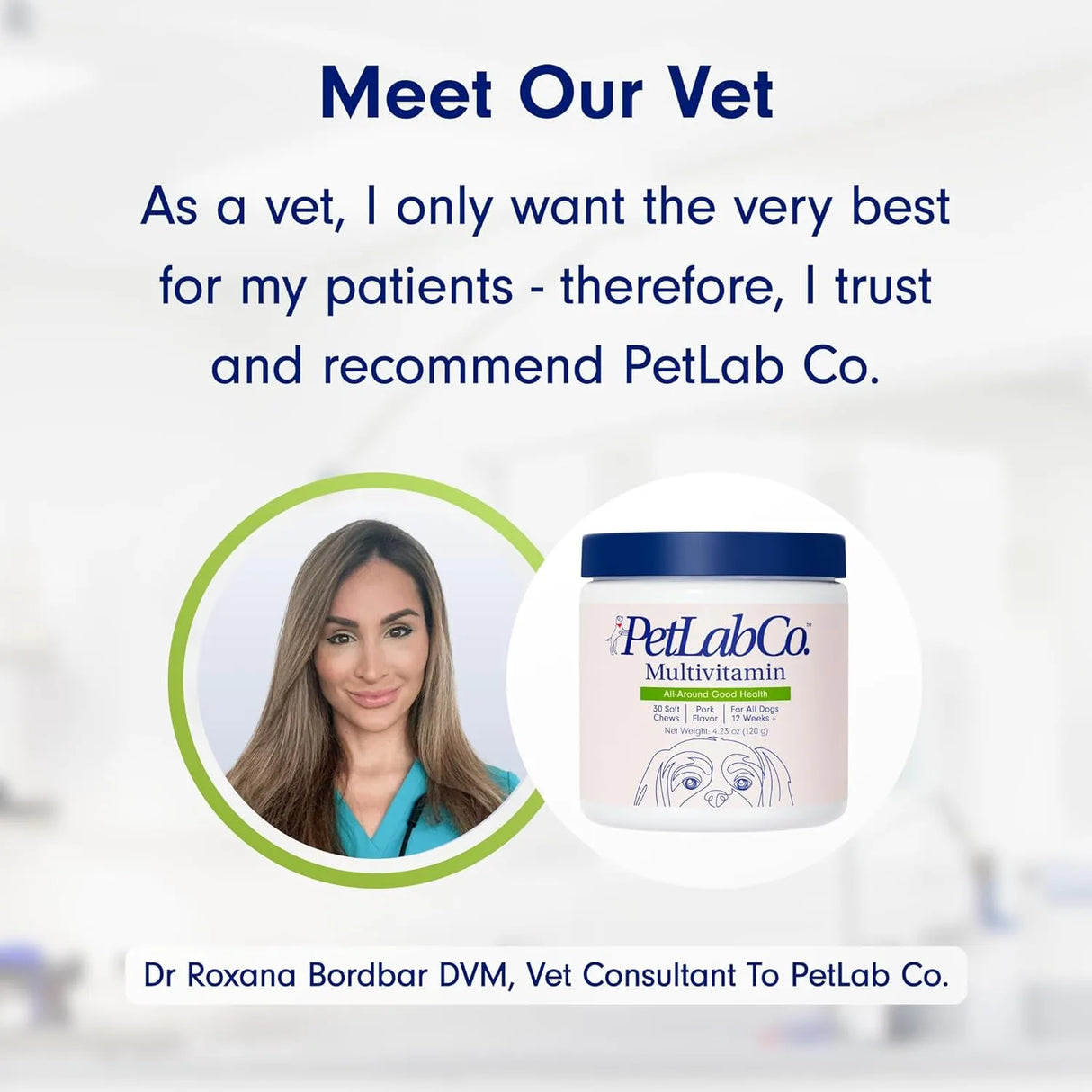 PETLAB CO. - PetLab Co. 22 in 1 Dog Multivitamin Chewable Pork Flavor 30 Masticables - The Red Vitamin MX - Multivitamínicos Para Perros - {{ shop.shopifyCountryName }}