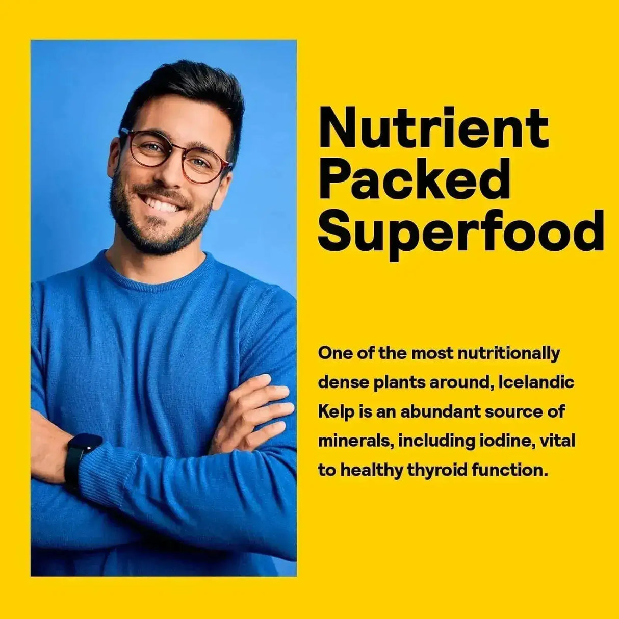 NATURE'S LIFE - Nature’s Life Icelandic Kelp 41Mg. 500 Tabletas - The Red Vitamin MX - Suplementos Alimenticios - {{ shop.shopifyCountryName }}