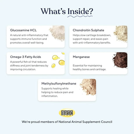 PAWFY - Pawfy Hip & Joint Supplement for Dogs with MSM & Vitamins 30 Masticables - The Red Vitamin MX - Cuidado De Cadera Y Articulaciones Para Perros - {{ shop.shopifyCountryName }}