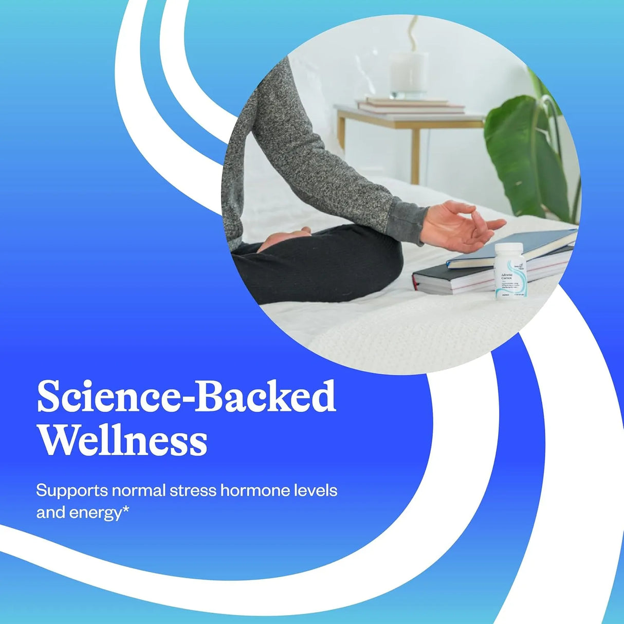 SEEKING HEALTH - Seeking Health Adrenal Cortex 60 Capsulas - The Red Vitamin MX - Suplementos Alimenticios - {{ shop.shopifyCountryName }}