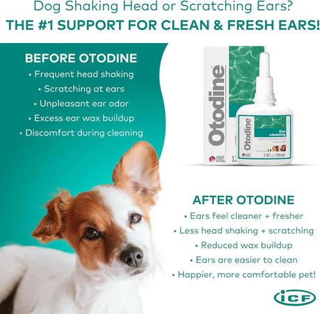 ICF - ICF Otodine Dog Ear Cleaner 100Ml. - The Red Vitamin MX - Cuidado Del Oído De Perros - {{ shop.shopifyCountryName }}