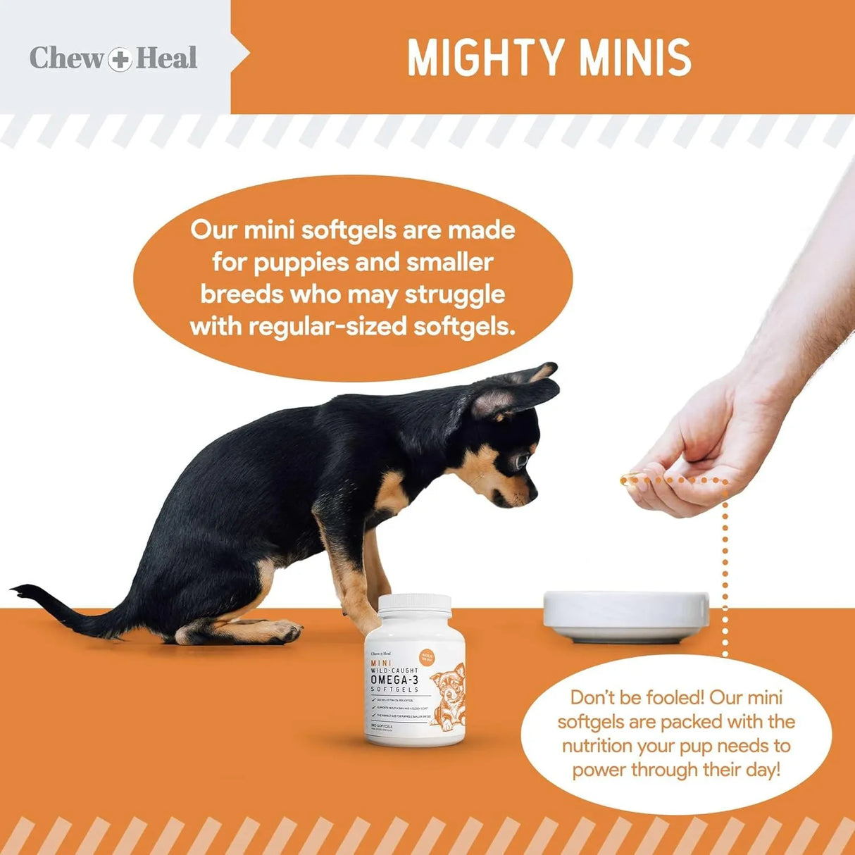CHEW + HEAL - Chew + Heal Labs Wild Caught Omega 3 Fish Oil for Puppy & Small Breed 180 Capsulas Blandas - The Red Vitamin MX - Aceite De Pescado Para Perros - {{ shop.shopifyCountryName }}