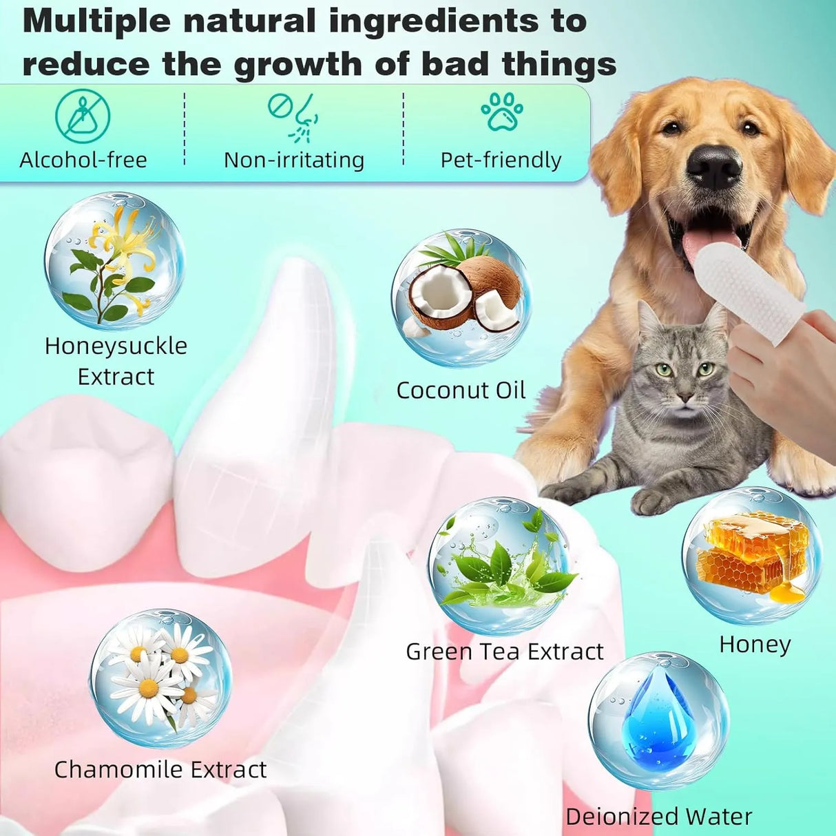 BOLYCEN - Bolycen Pet Dental Finger Wipes for Dogs & Cats Unscented 60 Toallitas - The Red Vitamin MX - Cuidado Dental Para Perros - {{ shop.shopifyCountryName }}